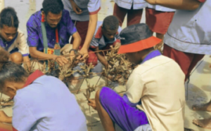 World Environment Day NCDC